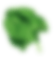 برگ